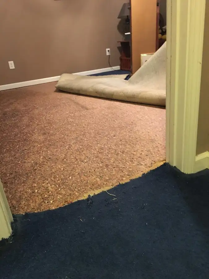 Carpet pad removal revealing water damage during Drying & Dehumidification in Fresno