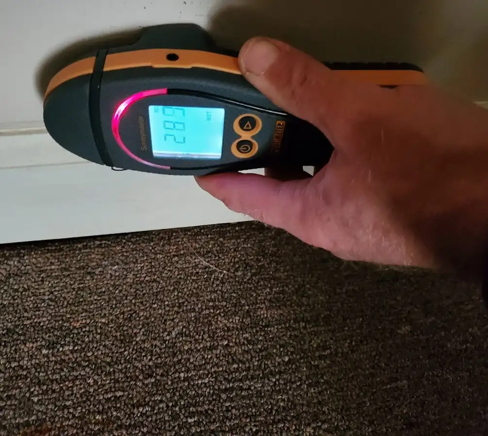 Moisture detection at baseboard during Sewage Cleanup & Sanitation in Fresno